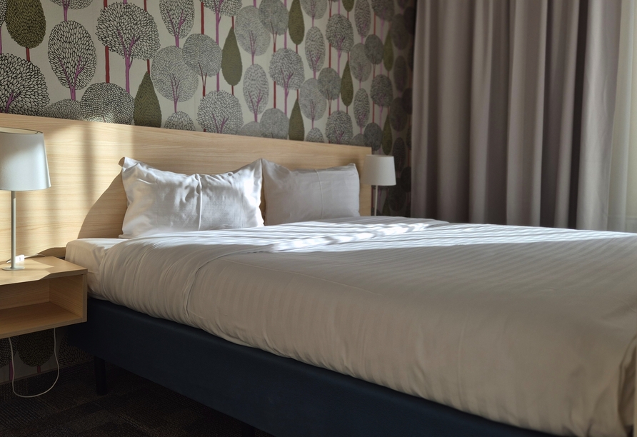 Beispiel eines Appartments Studio