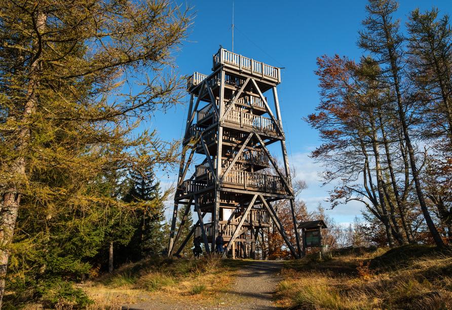Besteigen Sie den hölzernen Aussichtsturm auf dem Dresslerberg.