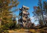Besteigen Sie den hölzernen Aussichtsturm auf dem Dresslerberg.