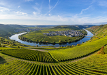 Das Moseltal – eine Landschaft wie gemalt.