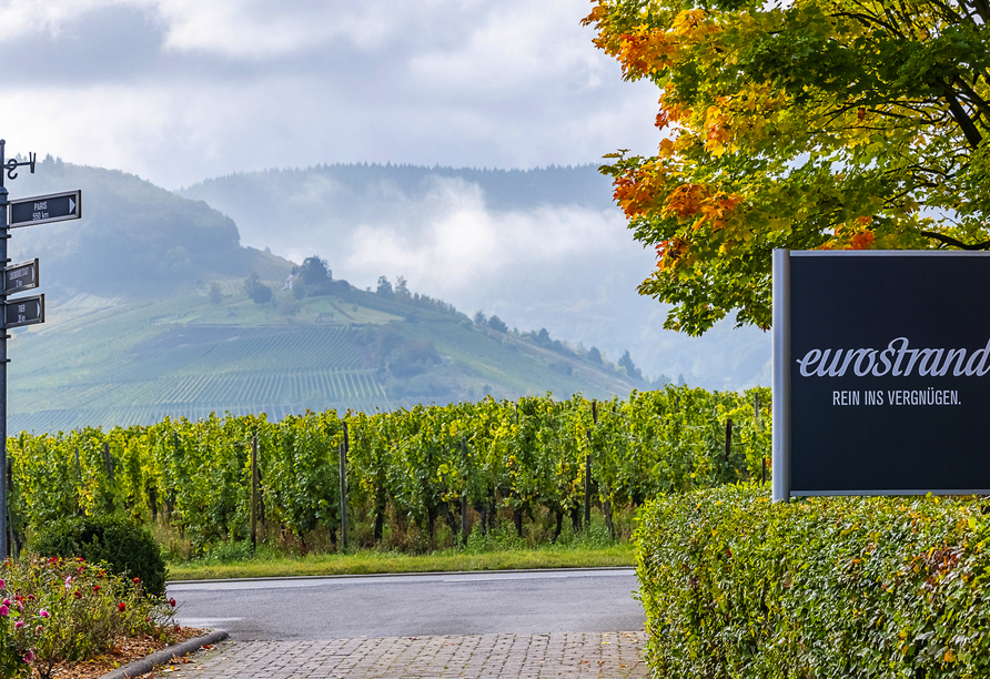 Herzlich willkommen im Eurostrand Resort Moseltal!