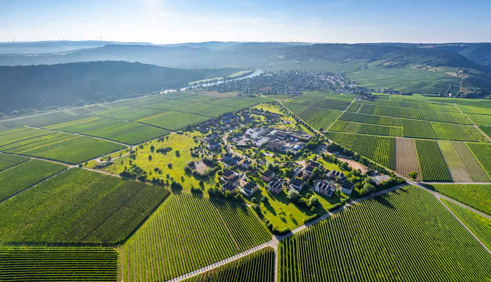 Das Eurostrand Resort Moseltal in Leiwen an der Mosel von oben.