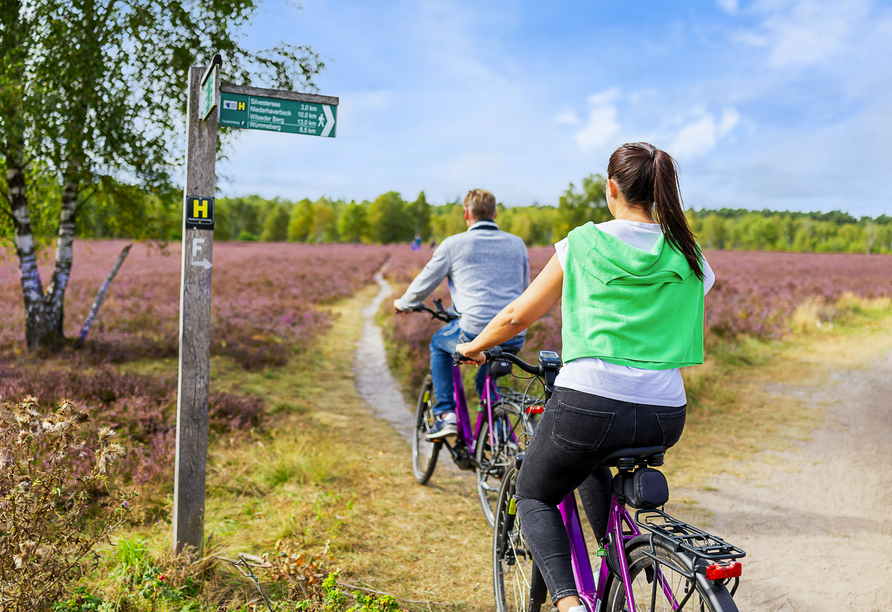 Radeln Sie durch die schöne Lüneburger Heide!