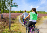 Radeln Sie durch die schöne Lüneburger Heide!