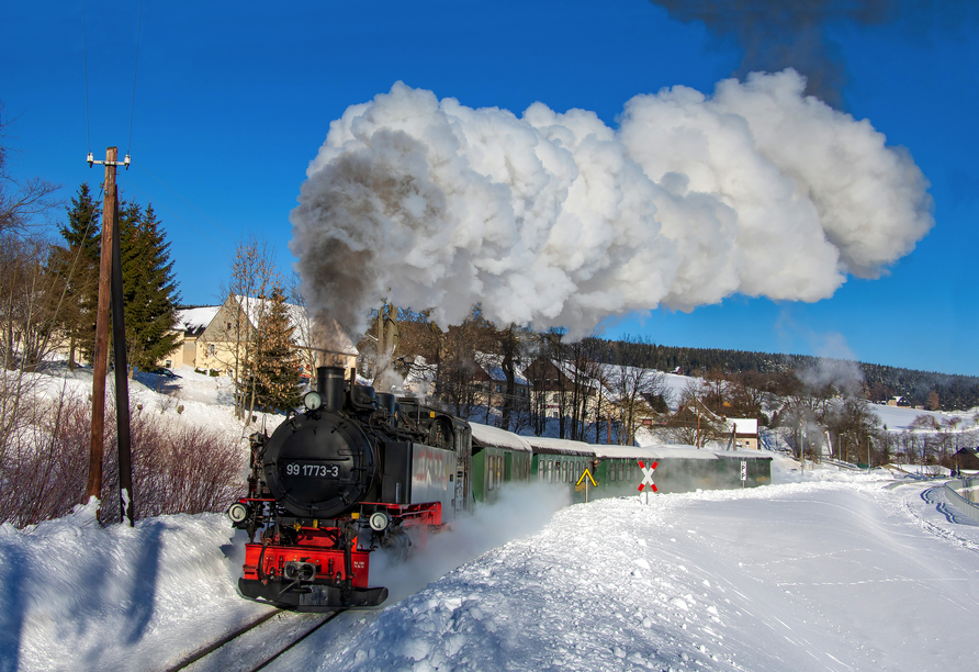 Unternehmen Sie eine Fahrt mit der Harzer Schmalspurbahn.