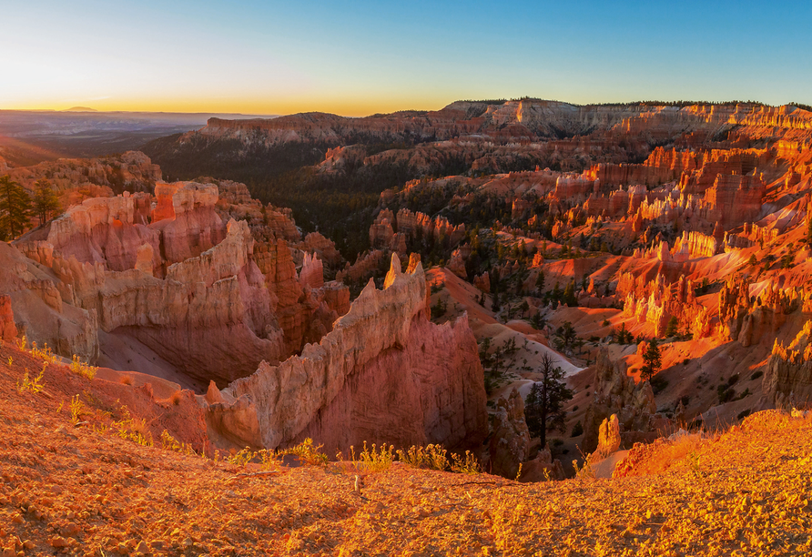 Die roten Felstürme des Bryce Canyon bieten besonders bei Sonnenuntergang ein spektakuläres Farbspiel.