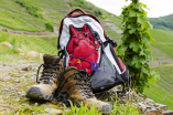 Unternehmen Sie eine Wanderung durch die Weinberge.