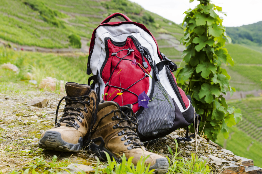 Unternehmen Sie eine Wanderung durch die Weinberge.