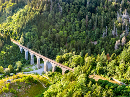 Die imposante Steinbogenbrücke der Ravennaschlucht erhebt sich eindrucksvoll über dem Tal und macht den Blick nach oben zu einem unvergesslichen Moment.