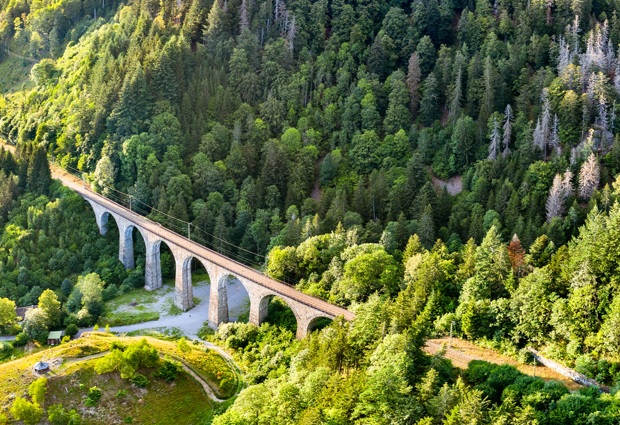 Die imposante Steinbogenbrücke der Ravennaschlucht erhebt sich eindrucksvoll über dem Tal und macht den Blick nach oben zu einem unvergesslichen Moment.