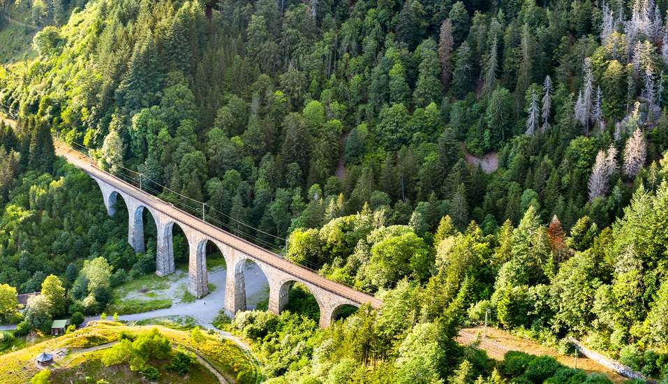 Die imposante Steinbogenbrücke der Ravennaschlucht erhebt sich eindrucksvoll über dem Tal und macht den Blick nach oben zu einem unvergesslichen Moment.