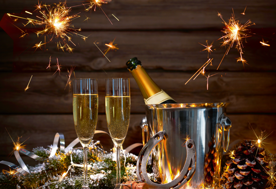Freuen Sie sich auf eine unvergessliche Silvesterfeier.