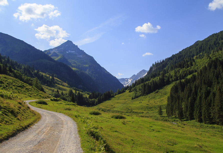 Mit dem Wanderbus können Sie bequem zum Startpunkt Ihrer Wanderung fahren – dieser verkehrt zwischen Zell am Ziller, Gerlos und Königsleiten.