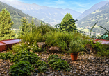 Kräutergarten im Garten des Hotels Alpenblick