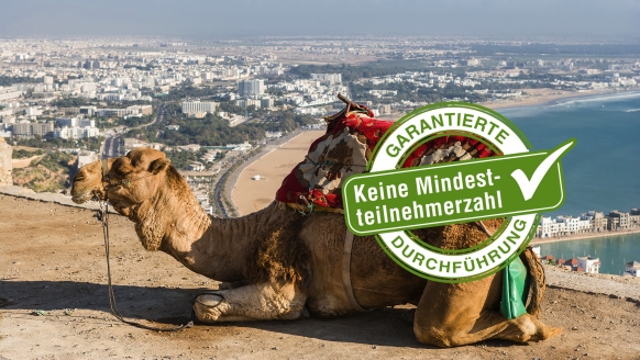 Entdecken Sie Agadir aus nächster Nähe und tauchen Sie tief in das marokkanische Leben ein.