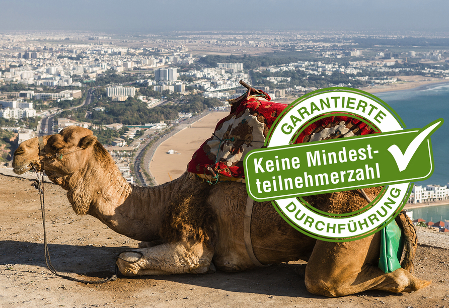 Entdecken Sie Agadir aus nächster Nähe und tauchen Sie tief in das marokkanische Leben ein.