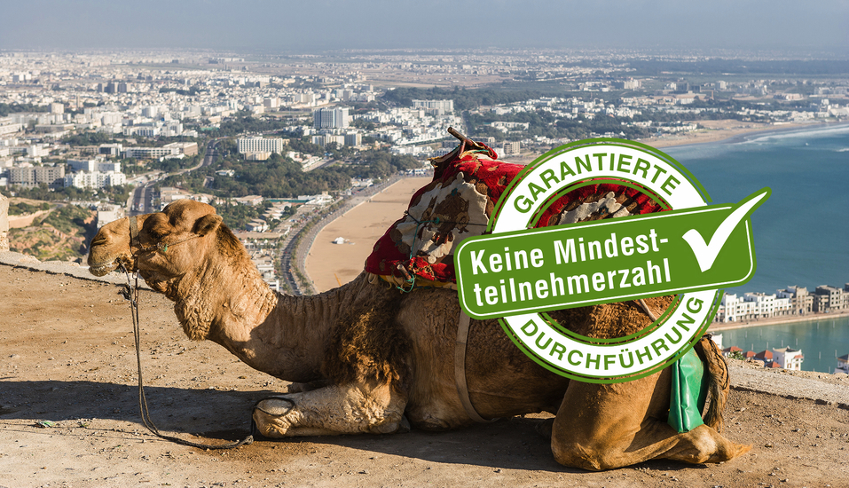 Entdecken Sie Agadir aus nächster Nähe und tauchen Sie tief in das marokkanische Leben ein.