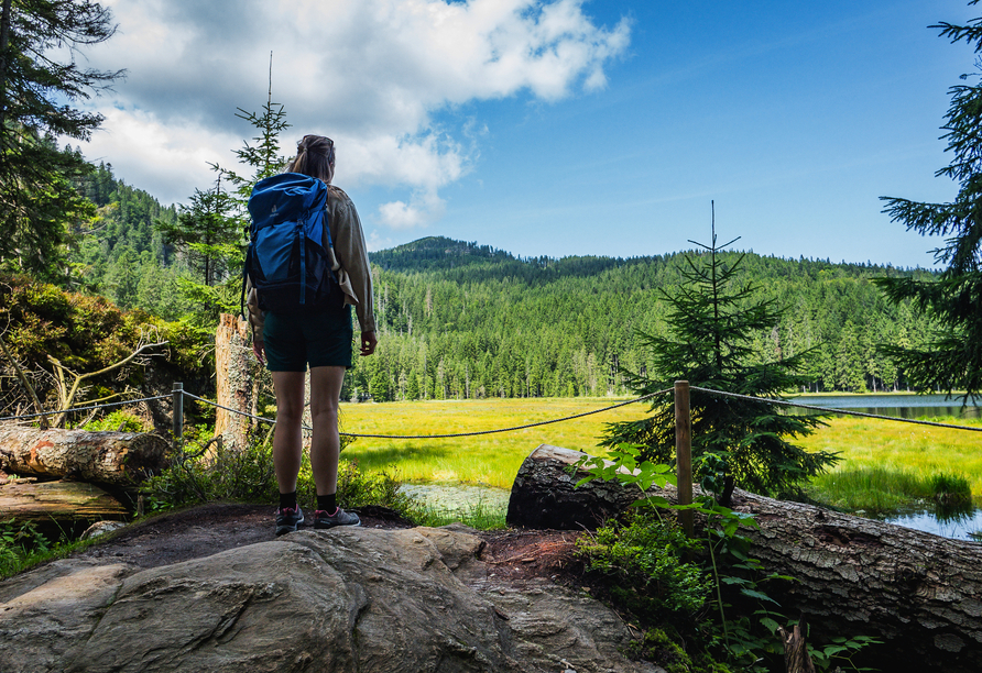 Bringen Sie Ihre Wanderschuhe mit und entdecken Sie den Großen Arber.