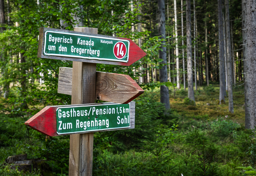 In der Nähe Ihres Hotels finden sich zahlreiche Wanderwege, darunter auch Bayerisch Kanada.