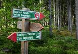 In der Nähe Ihres Hotels finden sich zahlreiche Wanderwege, darunter auch Bayerisch Kanada.