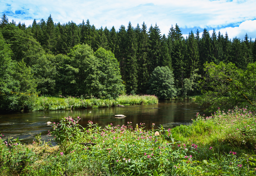 Gelegentlich gleiten ein paar Kanu- oder Kajakfahrer über das glasklare Wasser des Wildflusses „Schwarzer Regen