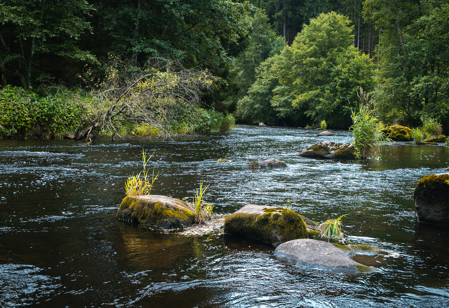 Der rund 60  km lange Wildfluss „Schwarzer Regen“ schlängelt sich durch eine beeindruckende Landschaft mit dichten Wäldern und steilen Felswänden.
