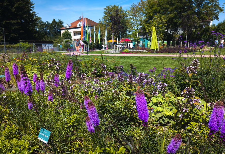 Im Sommer 2025 war Furth im Wald Gastgeber der Landesgartenschau – zahlreiche Bereiche der Stadt wurden dafür liebevoll neugestaltet und laden seither zum Entdecken und Verweilen ein. 