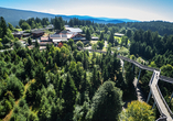 Ein Highlight für Groß und Klein: der Waldwipfelweg St. Englmar in Maibrunn.