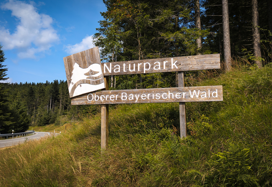 Lassen Sie sich vom Bayerischen Wald verzaubern.