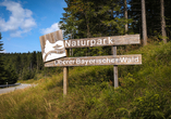 Lassen Sie sich vom Bayerischen Wald verzaubern.