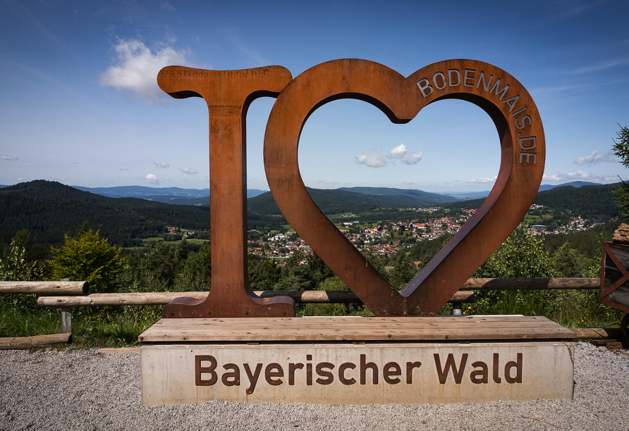 Lassen Sie sich von der Vielfalt des Bayerischen Waldes verzaubern.