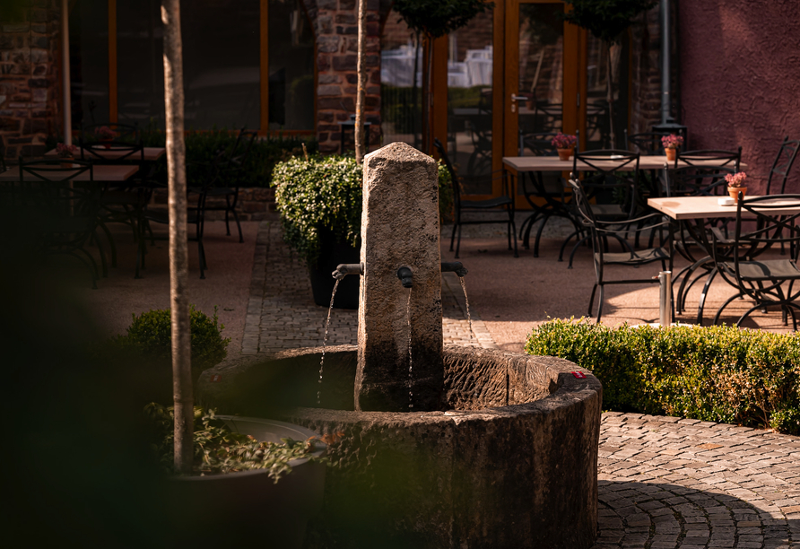 Der Kreuzgarten bietet eine tolle Aufenthaltsmöglichkeit an der frischen Luft.