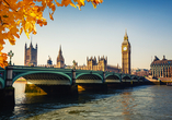 Erkunden Sie die Metropole London im goldenen Herbst! 