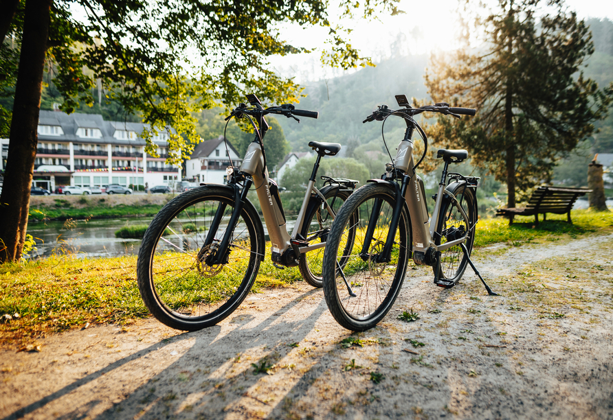 Leihen Sie sich ein E-Bike aus und gehen Sie auf Fahrradtour.
