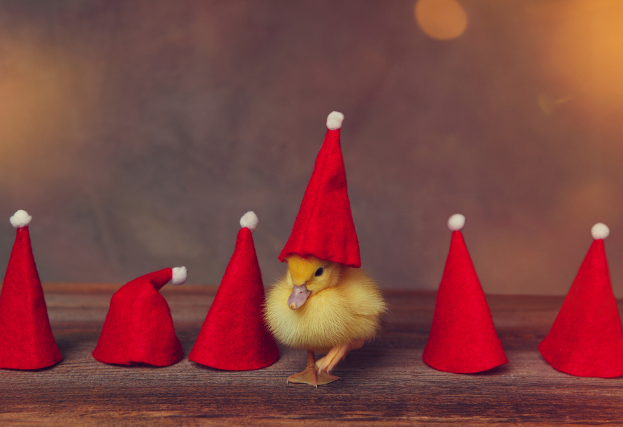 Winterlicher Zauber sorgt für festliche Stimmung.