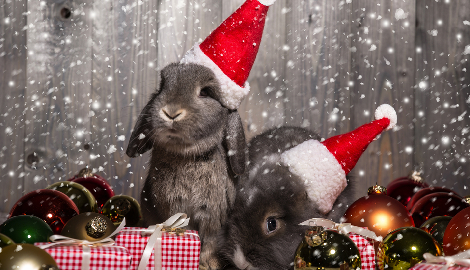 Niedliche Häschen bringen einen verspielten Zauber in die Weihnachtszeit.
