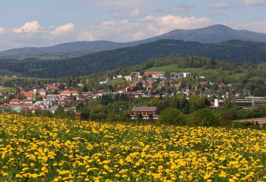 Ihr Urlaubsort Grafenau birgt viele idyllische und grüne Ecken.