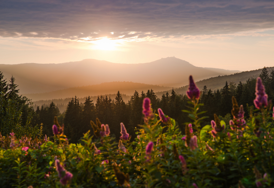 Willkommen im Bayerischen Wald!