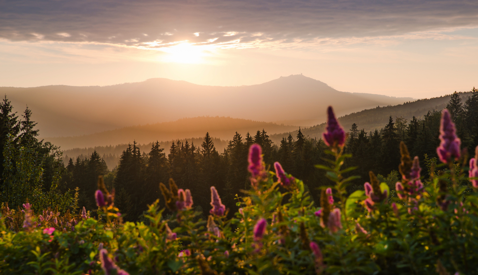 Willkommen im Bayerischen Wald!