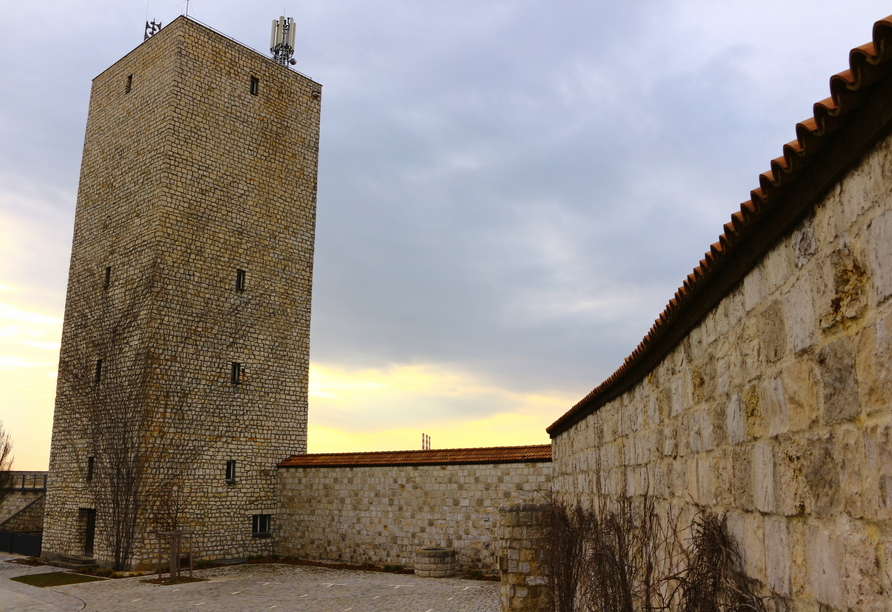 Besuchen Sie die Burg Vohburg.