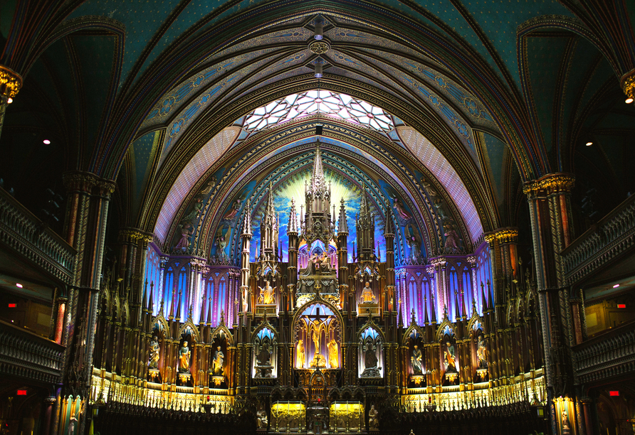 Der Eintritt in die Kathedrale Notre Dame ist für Sie inklusive.