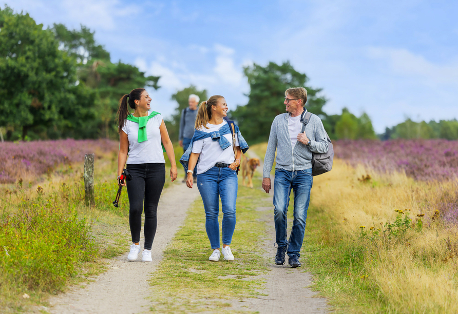 Spazieren Sie durch die blühenden Felder der Lüneburger Heide.