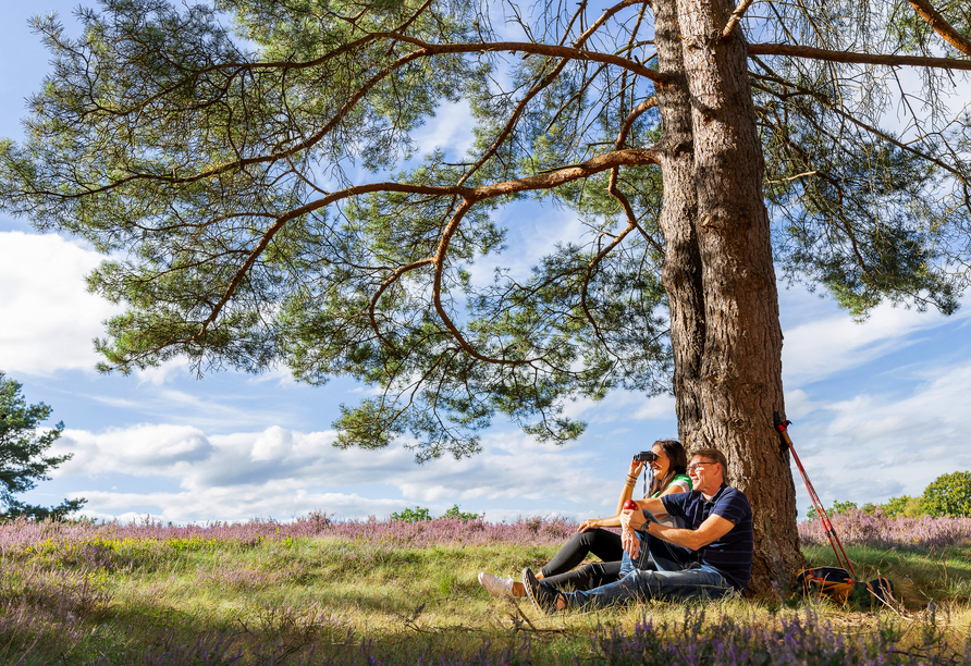 Freuen Sie sich auf die Natur und die Ruhe in der Lüneburger Heide.