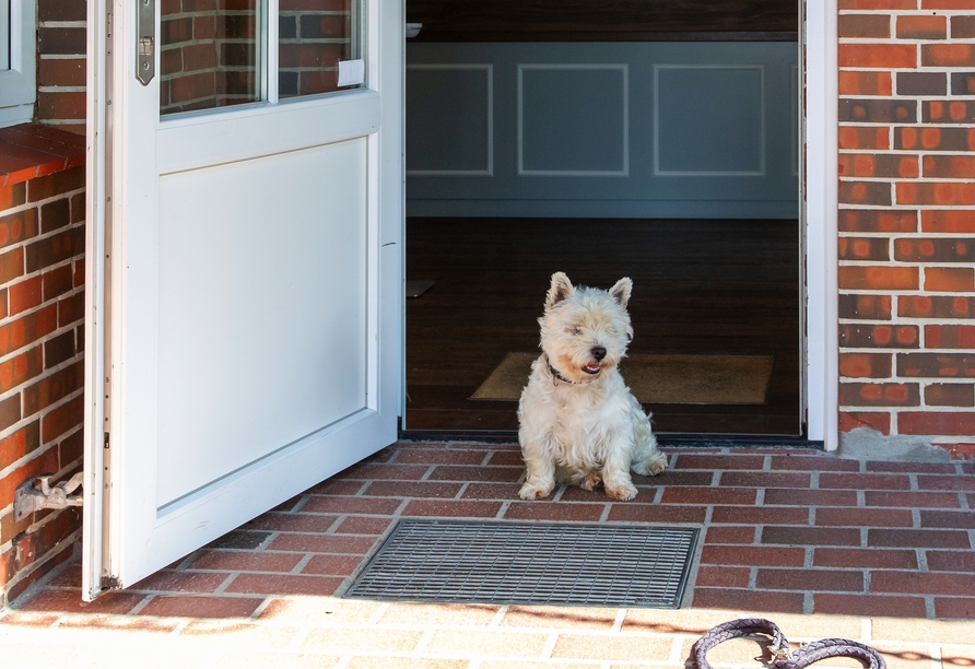Ihr Urlaubshotel freut sich auch auf Ihren Vierbeiner.