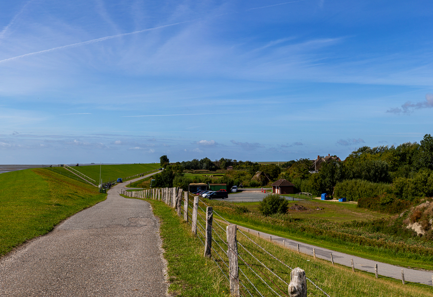 Auf Pellworm finden Sie grüne Badestrände direkt am Deich.