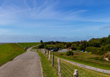 Auf Pellworm finden Sie grüne Badestrände direkt am Deich.