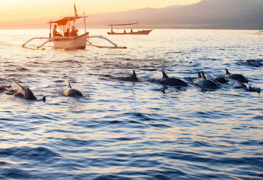 Nutzen Sie Ihre freie Zeit in Lovina – vielleicht mit einer Delfinbeobachtung?