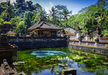 Sanft fließendes Quellwasser steht im Tirta-Empul-Tempel für die Reinigung von Körper und Geist.