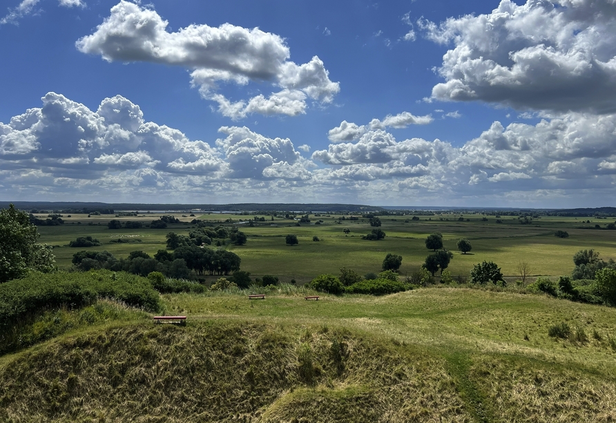 Grün, soweit das Auge reicht. Genießen Sie einen Aufenthalt geprägt von Natur direkt am Fuße des Nationalparks Unteres Odertal.
