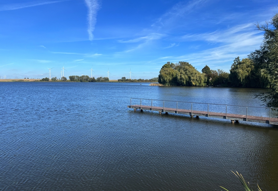 Entdecken Sie den Nationalpark Unteres Odertal.